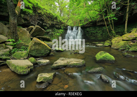 Goit Lager ist ein Wasserfall auf Harden Beck in der Nähe Cullingworth im Aire Tal, West Yorkshire Stockfoto