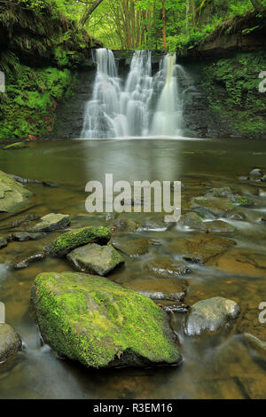 Goit Lager ist ein Wasserfall auf Harden Beck in der Nähe Cullingworth im Aire Tal, West Yorkshire Stockfoto