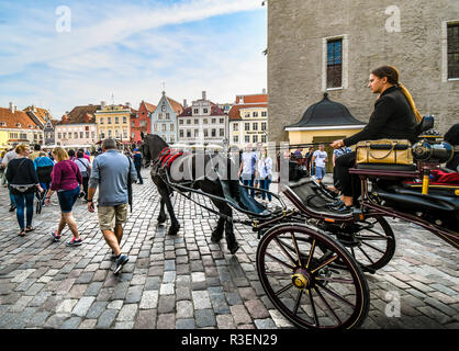 Eine Pferdekutsche und Reiter in den Tallinn Estland Old Town Square an einem langen Sommertag mit Touristen, die mittelalterlichen Gassen und Geschäften Stockfoto