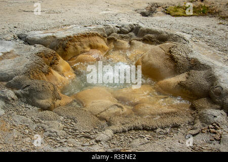 Das kochende Wasser von einem Geysir im Yellowstone National Park Stockfoto