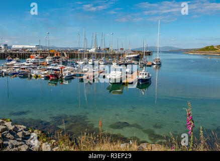 Mallaig Hafen, Lochaber, Schottland. Stockfoto