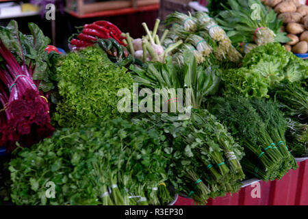 Viel Gemüse auf dem Tisch Tomaten Gurken Salat Stockfoto