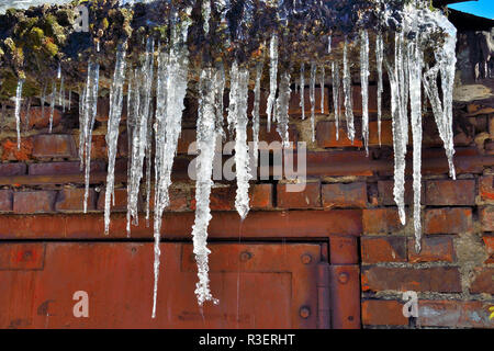 Eiszapfen hängen auf dem Dach in der Nähe bis zu tropfen. Schöne Element der Winter oder Frühling design Stockfoto