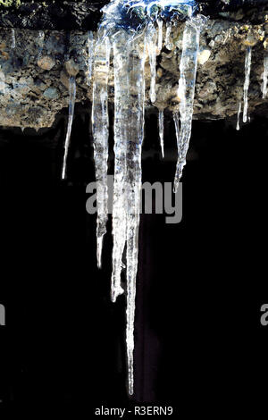 Eiszapfen in der Nähe auflegen, auf schwarzem Hintergrund isoliert. Schöne Element der Winter oder Frühling design Stockfoto
