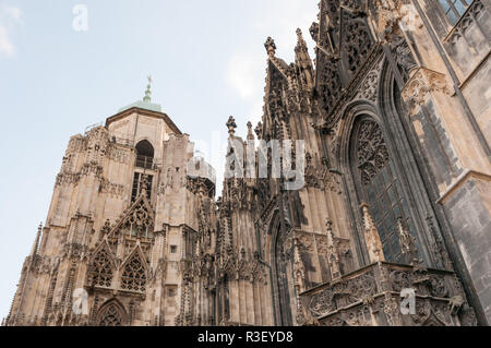 der Stephansdom in Wien Stockfoto