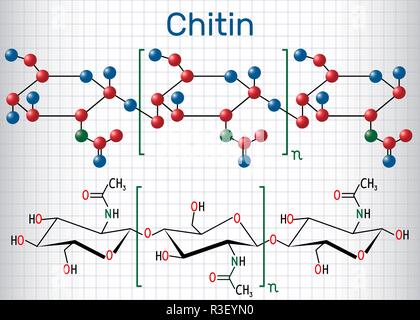 Chitin Molekül. Strukturelle chemische Formel und Molekül-Modell. Blatt Papier in einem Käfig. Vector Illustration Stock Vektor