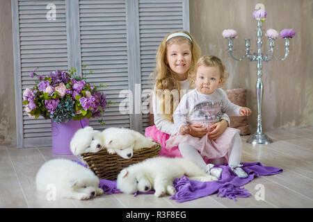 Blonde Mädchen Schwestern mit Husky Welpe Weiß in retro studio Shooting posieren. Nette junge Kind Schwestern spielen mit Welpen Hunde in entwickelt Home decoratio Stockfoto