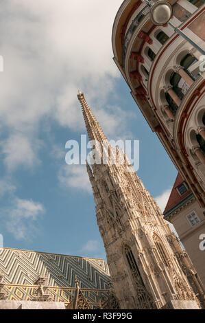 der Stephansdom in Wien Stockfoto