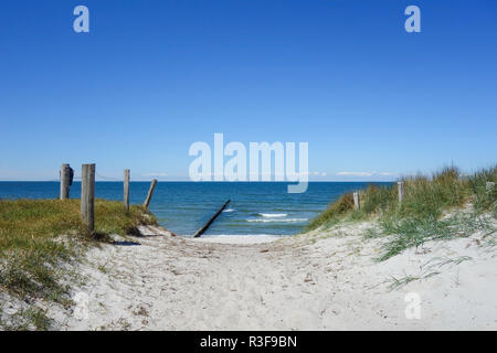 Weg zum Strand auf einer Düne auf der Insel Hiddensee in Deutschland Stockfoto