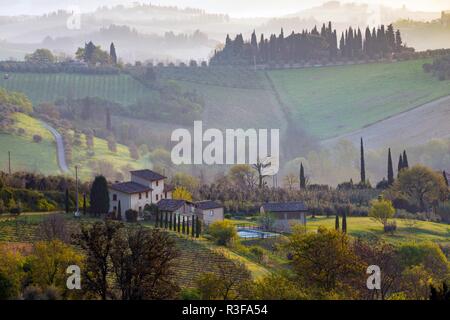 Typische toskanische Landschaft - ein Blick auf eine Villa auf einem Hügel, eine zypressenallee und ein Tal mit Weinbergen, Provinz Siena. Toskana, Italien Stockfoto