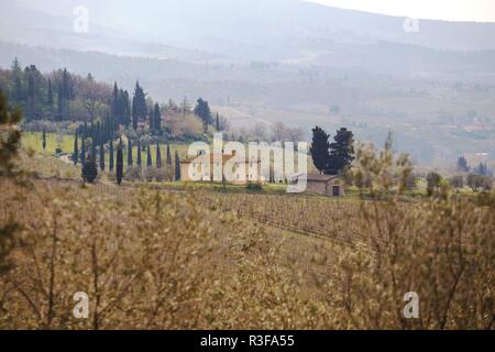 Typische toskanische Landschaft - ein Blick auf eine Villa auf einem Hügel, eine zypressenallee und ein Tal mit Weinbergen, Provinz Siena. Toskana, Italien Stockfoto