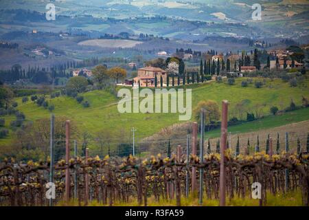 Typische toskanische Landschaft - ein Blick auf eine Villa auf einem Hügel, eine zypressenallee und ein Tal mit Weinbergen, Provinz Siena. Toskana, Italien Stockfoto