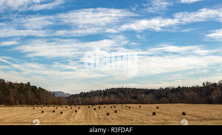 Die Straße nach Antler Hill Village eine bukolische Szene von Strohballen auf einem Feld im Winter, im Biltmore Estate in Asheville, NC, USA Stockfoto