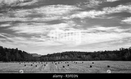 Die Straße nach Antler Hill Village eine bukolische Szene von Strohballen auf einem Feld im Winter, im Biltmore Estate in Asheville, NC, USA Stockfoto