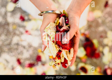 Frauenhand mit Rosenblüten Stockfoto