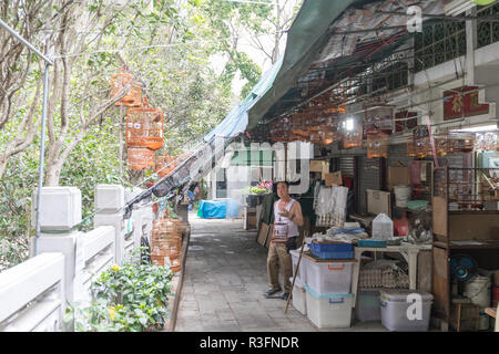 KOWLOON, HONG KONG - 21. APRIL 2017: Verkäufer mit Vogelkäfig in der Yuen Po Street Bird Garden in Kowloon, Hong Kong. Stockfoto