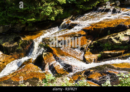 Bach Steinerne Renne Harz Stockfoto