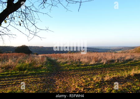 Ein Wanderweg am Romney Straße ins Tal Knatts dann bis zu Austin Federn und Shoreham, Kent. London in der Ferne. Winter 2018 Stockfoto