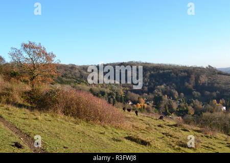 Herbst Szenen aus Shoreham, Kent; Magpie unten; Darent Tal; Fackenden nach unten und Romney Straße, ein Wanderweg durch die North Downs AONB Stockfoto