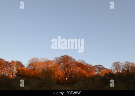 Herbst Szenen aus Shoreham, Kent; Magpie unten; Darent Tal; Fackenden nach unten und Romney Straße, ein Wanderweg durch die North Downs AONB Stockfoto