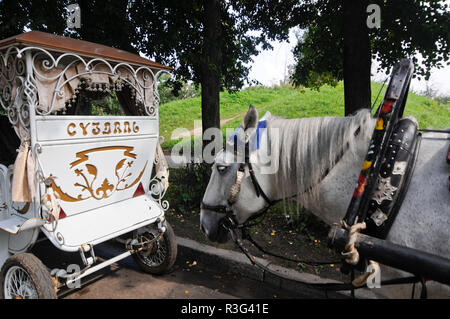 Alte Pferdekutsche. Wladimir, Russland Stockfoto
