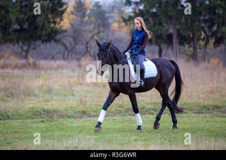 Junge Reiter Mädchen Trab auf ihre Bucht Hengst in Park. Stockfoto