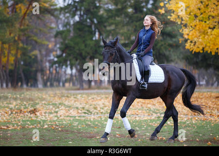 Junge Reiter Mädchen Galopp auf ihre Bucht Hengst in Park. Stockfoto