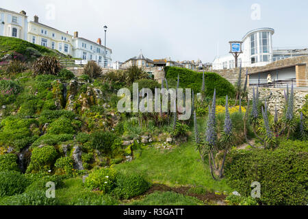 Die Cascade Gardens in Ventnor auf der Insel Wight, entworfen, um 1900 von Edgar Harvey. Der Wintergarten Gebäude könnte im Hintergrund gesehen werden. Das VEREINIGTE KÖNIGREICH (98) Stockfoto