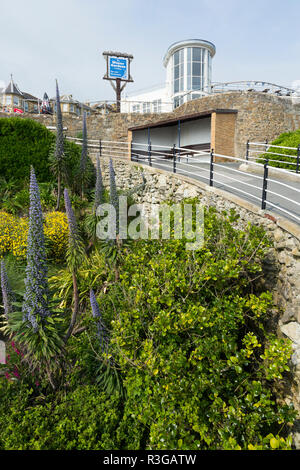 Die Cascade Gardens in Ventnor auf der Insel Wight, entworfen, um 1900 von Edgar Harvey. Der Wintergarten Gebäude könnte im Hintergrund gesehen werden. Das VEREINIGTE KÖNIGREICH (98) Stockfoto