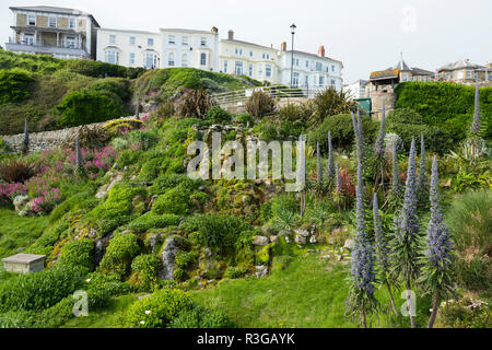 Die Cascade Gardens in Ventnor auf der Insel Wight, entworfen, um 1900 von Edgar Harvey. (98) Stockfoto