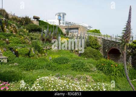 Die Cascade Gardens in Ventnor auf der Insel Wight, entworfen, um 1900 von Edgar Harvey. Der Wintergarten Gebäude könnte im Hintergrund gesehen werden. Das VEREINIGTE KÖNIGREICH (98) Stockfoto