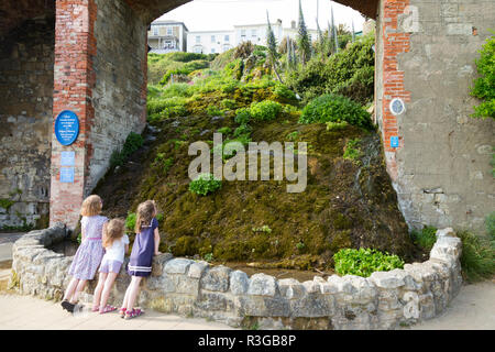 Drei Schwestern / junge Mädchen/Kinder/Kinder genießen & die Cascade Gardens schätzen in Ventnor auf der Insel Wight, entworfen von Edgar Harvey. Großbritannien Stockfoto