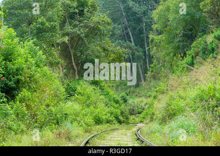 (Selektive Fokus) der berühmten eisenbahnlinie Kandy verbinden mit Ella in Sri Lanka. Stockfoto