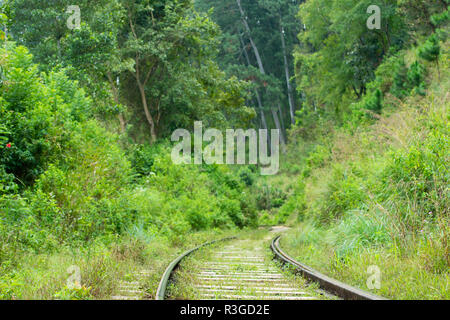 Die Zugfahrt von Ella nach Kandy auf Sri Lanka, oder die andere Weise d Stockfoto