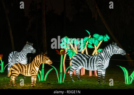 Los Angeles, Nov. 21: Schöne bunte Laternen von Moonlight Wald Festival am 21.November, 2018 in Los Angeles Stockfoto