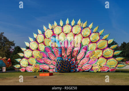 Los Angeles, Nov. 17: Morgen Blick auf die bunten Laternen von Moonlight Wald Festival am 17.November, 2018 in Los Angeles Stockfoto