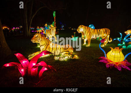 Los Angeles, Nov. 21: Schöne bunte Laternen von Moonlight Wald Festival am 21.November, 2018 in Los Angeles Stockfoto