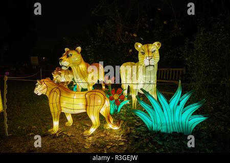 Los Angeles, Nov. 21: Schöne bunte Laternen von Moonlight Wald Festival am 21.November, 2018 in Los Angeles Stockfoto