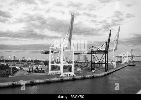 Miami, USA - 01. März 2016: Maritime Container Hafen mit Kränen und Cargo Container. Hafen oder Umschlagplatz an bewölkten Himmel. Fracht Lieferung Logis Stockfoto