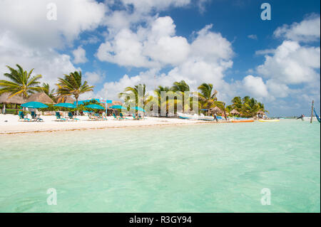 Costa Maya, Mexiko - 01. Februar 2016: Meer Strand. Blaues Wasser, weißer Sand und Palmen am tropischen Strand. Sommer Urlaub am Karibischen Meer Strand. Meer Stockfoto