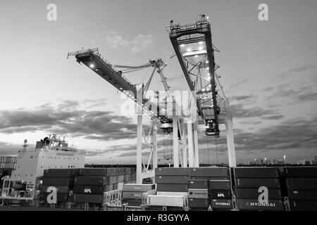 Miami, USA - 01. März 2016: Krane und Cargo Container im Hafen gestapelt. Container Hafen oder Terminal mit Nachtbeleuchtung. Versand und Lieferung von Stockfoto