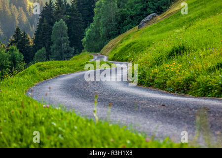Landschaftlich reizvolle Straße durch grünen Wald in der Schweiz Stockfoto