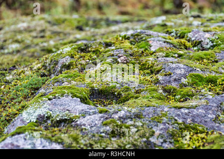 Antiker Opferstein in Hämeenlinna Finnland Stockfoto