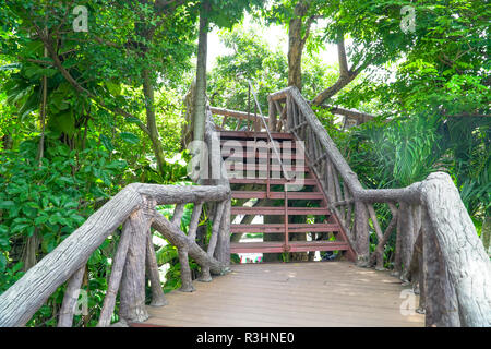 Wendeltreppe mit Holz, die einen Weg durch den Dschungel mit Bäumen, Dam Metallleiter Stockfoto