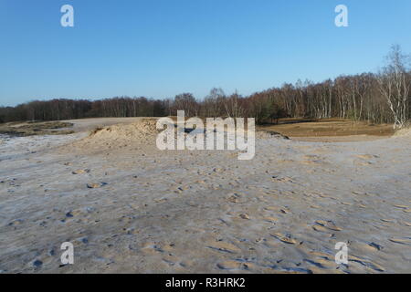 Hamburg boberg Dünen im Winter Stockfoto