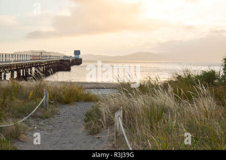 Niedlich aus Holz am Ende des alten Holz Wharf Shed. Die Ufer im Sand, tussock und Vegetation in Wellington, Neuseeland. Stockfoto