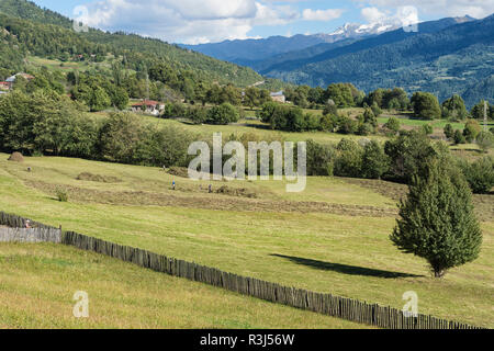 Georgische Leute arbeiten in Feld, bukolische Landschaft, Lashtkhveri, Svaneti Region, Georgien, Kaukasus, Naher Osten, Asien Stockfoto