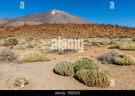 Mount Teide Vulkan, Blick von den Roques de Garcia, Nationalpark Teide, Teneriffa, Kanarische Inseln, Spanien Stockfoto