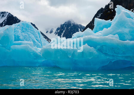 Blaue Eisberge, Magdalena Fjord, Gletscher, Spitsberg Insel, Svalbard, Norwegen Stockfoto