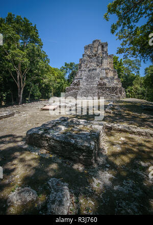 Ruinen, antike Stadt, Principal Pyramide in Muyil, Ausgrabung, Quintana Roo, Yucatan, Mexiko Stockfoto